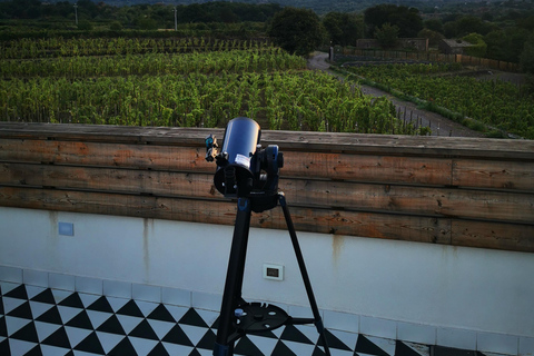 Visite des vignobles avec dégustation de vins