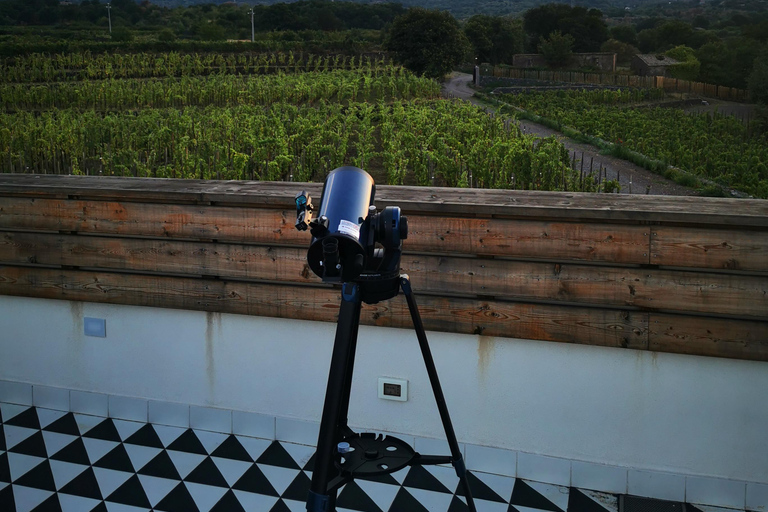 Visite des vignobles avec dégustation de vins