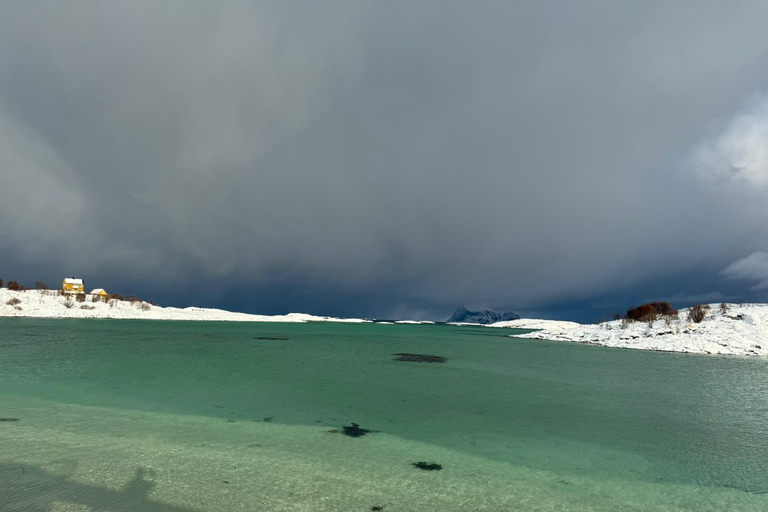 Fjord photo tour to Sommaroy with a 1-hour break