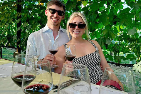 De Livourne : Pise avec déjeuner et dégustation