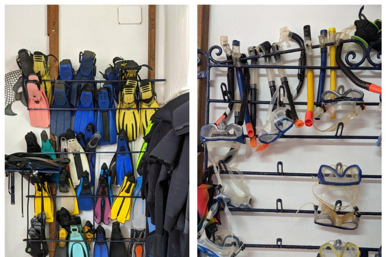Hammamet: Guided Shore Dive for Beginners with Gear