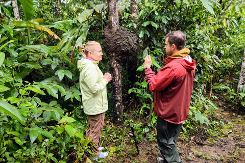 Amazon Wildlife Tour from Cusco–6 Days in the Reserved Zone.