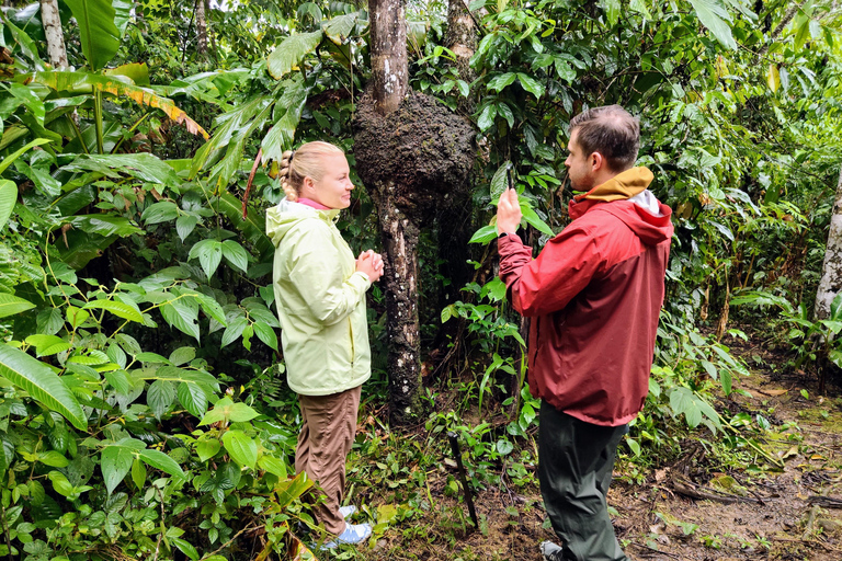Amazon Wildlife Tour from Cusco–6 Days in the Reserved Zone.
