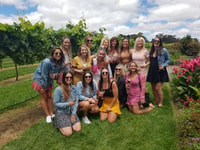 Desde Sydney, Hunter Valley Wine, Gin y Food Tastings Tour - Housity