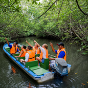 Bintan: Sebung River Mangrove Boat Tour with Hotel Pickup