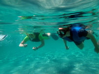De Santa Pola, voyage en snorkel à l'île de Tabarca - Hizvo