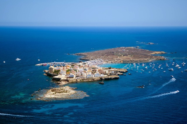 Visit From Santa Pola Snorkel Trip in Tabarca Island in Ciutadella