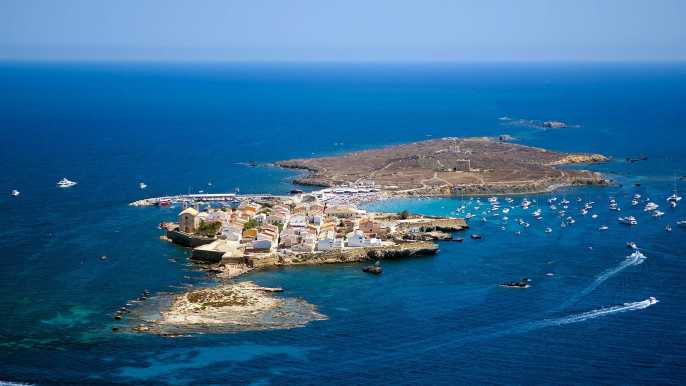 Desde Santa Pola: viaje de snorkel en la isla de Tabarca