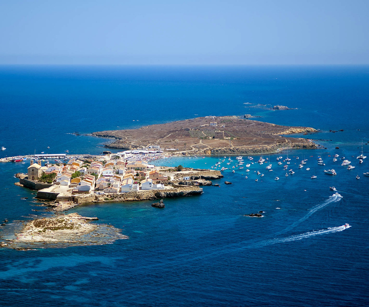 From Santa Pola: Snorkel Trip in Tabarca Island