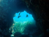 De Santa Pola, voyage en snorkel à l'île de Tabarca - Hizvo