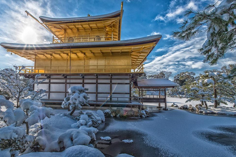 Osaka: Nara i Kioto - prywatna wycieczka 1-dniowa