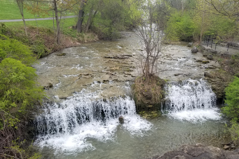 Niagara Falls, New York State: Guided Falls Walking Tour