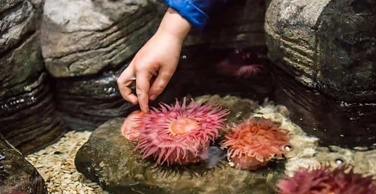 SEA LIFE Aquarium San Antonio photo 11