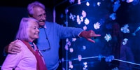 Aquarium SEA LIFE San Antonio - Hizvo