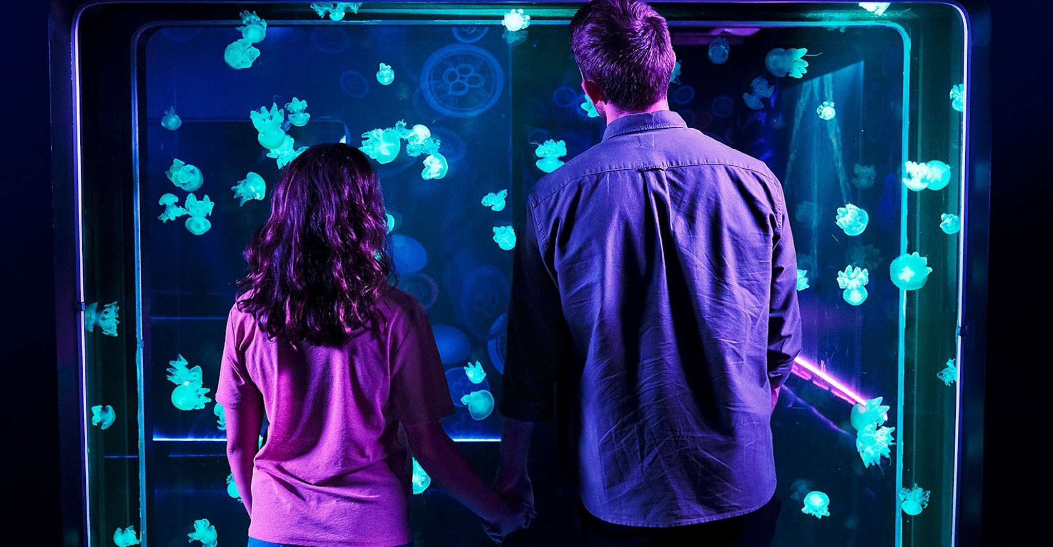 SEA LIFE Acquario San Antonio - Hizvo