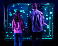 Aquarium SEA LIFE San Antonio - Hizvo