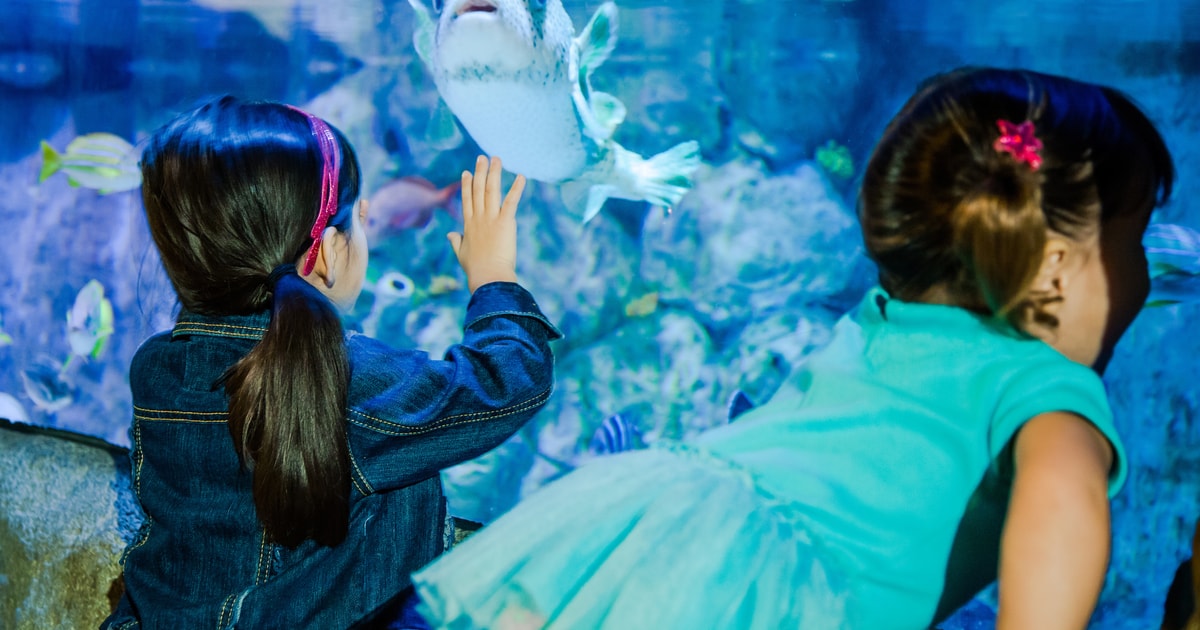 SEA LIFE Aquarium San Antonio | GetYourGuide