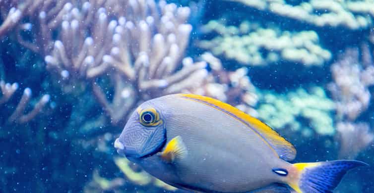 SEA LIFE Aquarium San Antonio photo 10