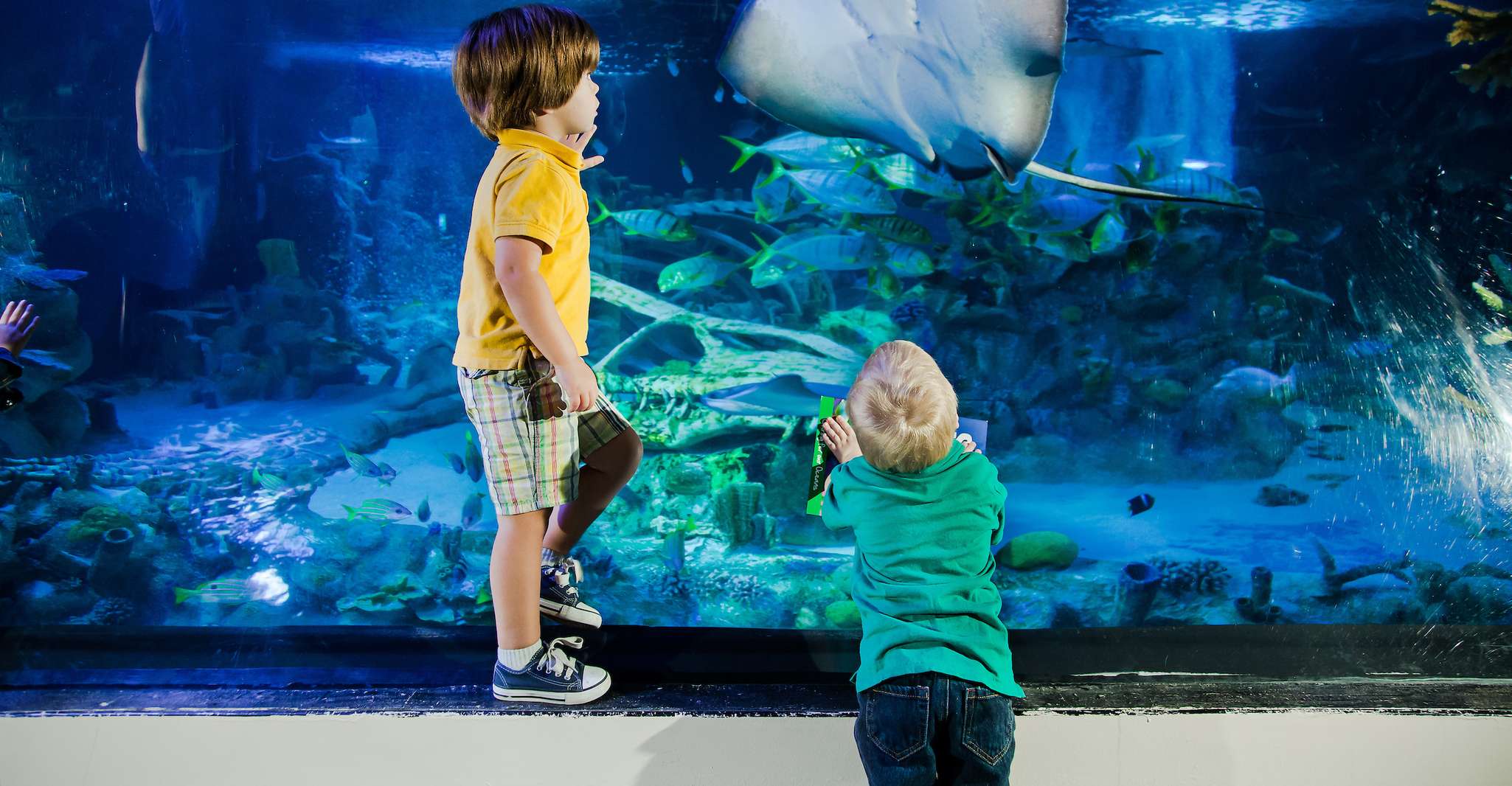 SEA LIFE Acquario San Antonio - Hizvo
