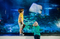 Aquarium SEA LIFE San Antonio - Hizvo