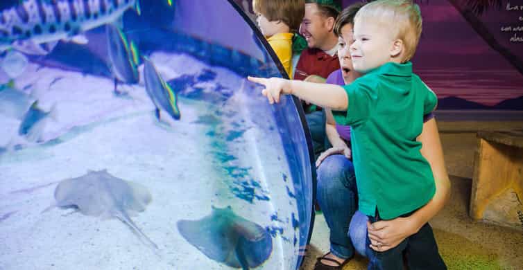 SEA LIFE Aquarium San Antonio photo 8