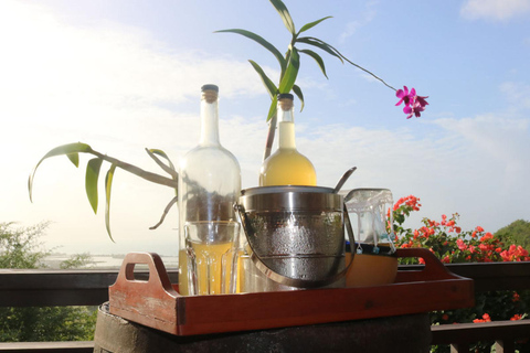 St. John's: Lekcja gotowania rumu z 6 degustacjami rumu