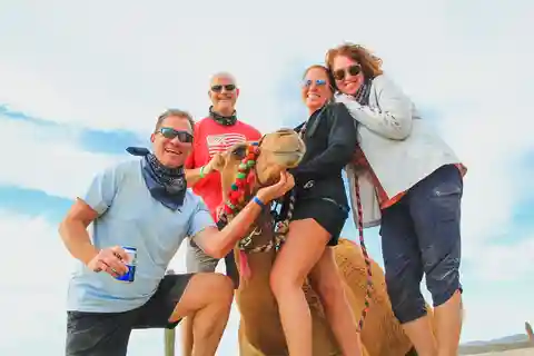 Los Cabos: 2 in 1 Combo Tour