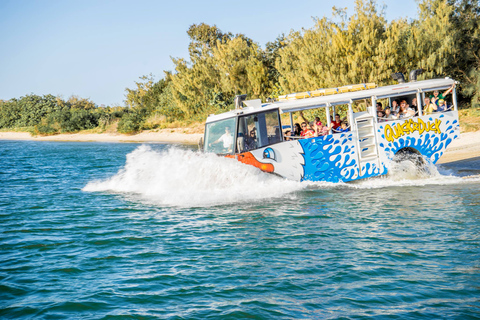 Surferparadies: Geführte Gold Coast Amphibious Bus Tour