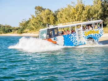 Surfers Paradise: Guided Gold Coast Amphibious Bus Tour