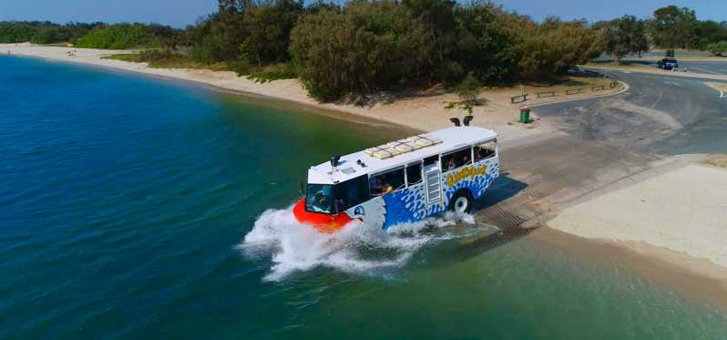 gold coast hinterland bus tours