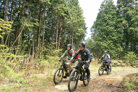 Passeio de eMTB para ver as belas ilhas a partir do cume