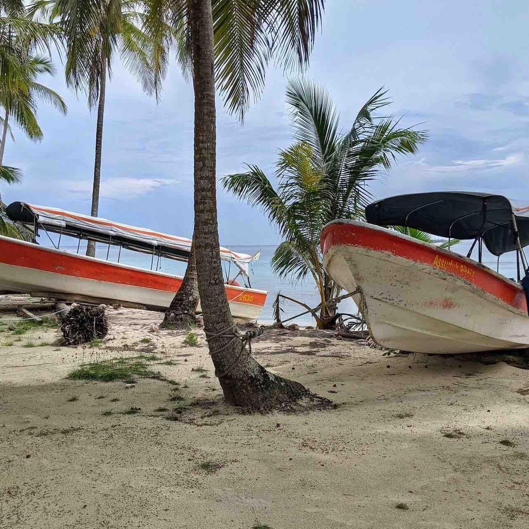 Galería de fotos para redes