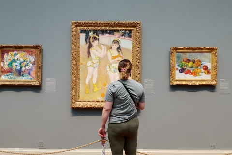 Chicago: Art Institute Skip-the-Line Tour with Guide Private Option
