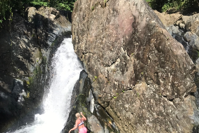 Forêt tropicale d'El Yunque : randonnée et glissade d'eauForêt tropicale d'El Yunque : excursion d'une demi-journée aux cascades et randonnée