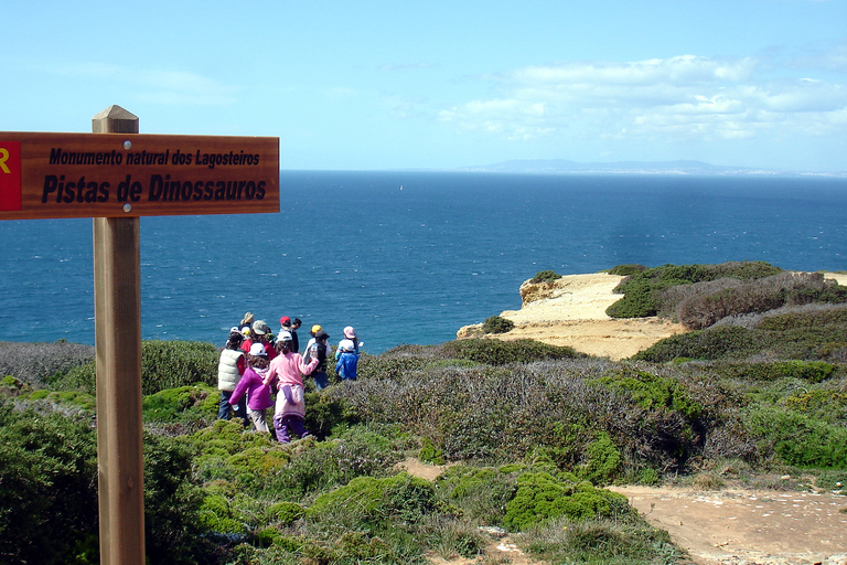 Lissabon: Vandring i naturparken ArrábidaVandring i Arrábida naturpark (Lissabon)+Transfer