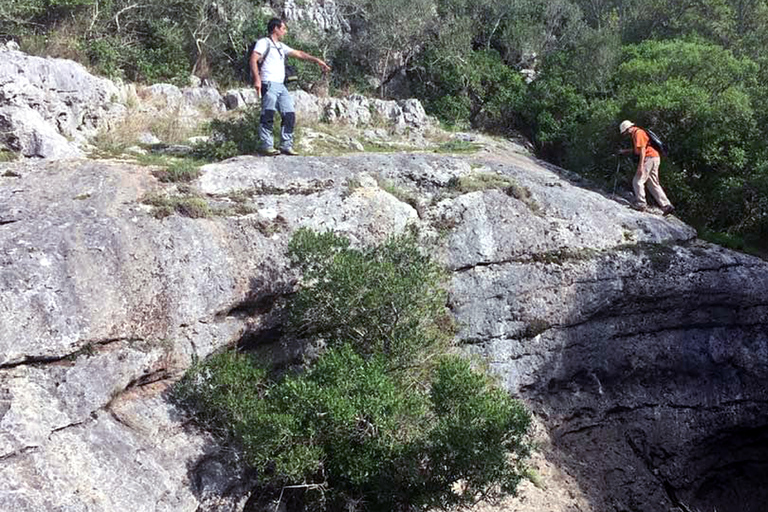 Lissabon: Vandring i naturparken ArrábidaVandring i Arrábida naturpark (Lissabon)+Transfer