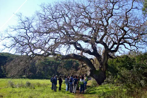 Lisboa: Senderismo en el Parque Natural de Arrábida