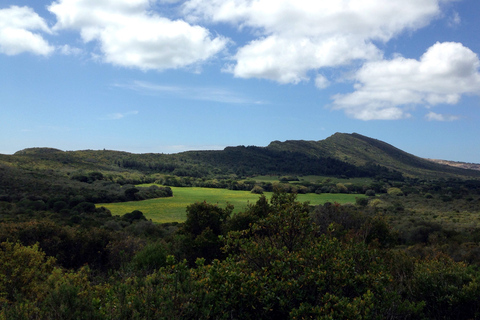 Lissabon: Vandring i naturparken ArrábidaVandring i Arrábida naturpark (Lissabon)+Transfer