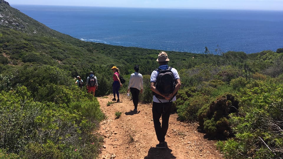 Lissabon: wandelen in het natuurpark Arrábida | GetYourGuide