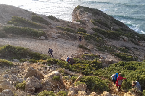 Lissabon: Vandring i naturparken ArrábidaVandring i Arrábida naturpark (Lissabon)+Transfer