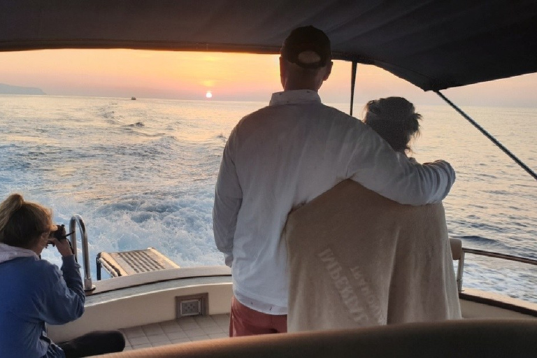 De Sorrente : excursion privée d'une demi-journée en bateau à CapriOption standard