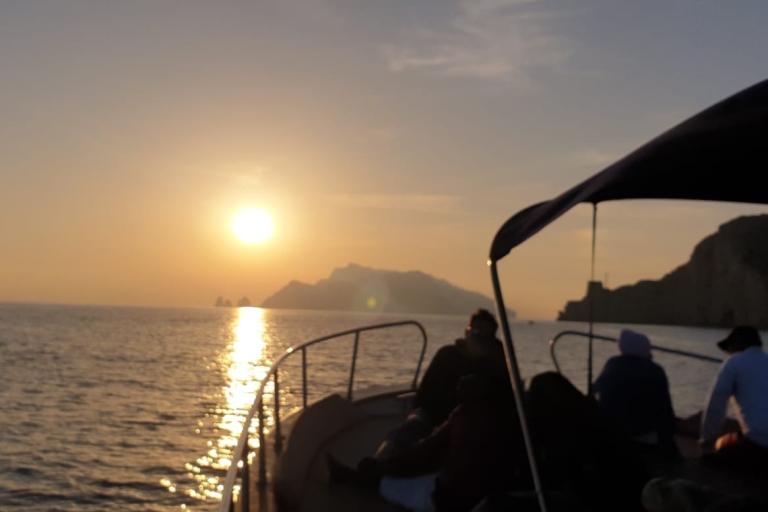 Ab Sorrent: Private halbtägige Bootstour von CapriStandardoption