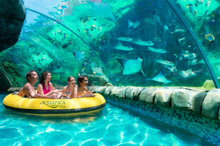 Aquatica San Antonio: Tickets