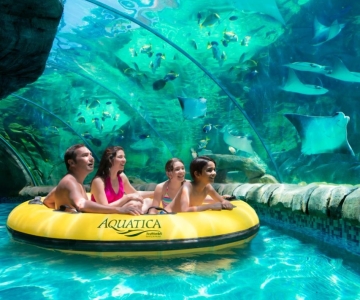 San Antonio: Aquatica Skip-the-Line Park Admission Ticket