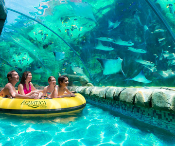 San Antonio: Aquatica Skip-the-Line Park Admission Ticket