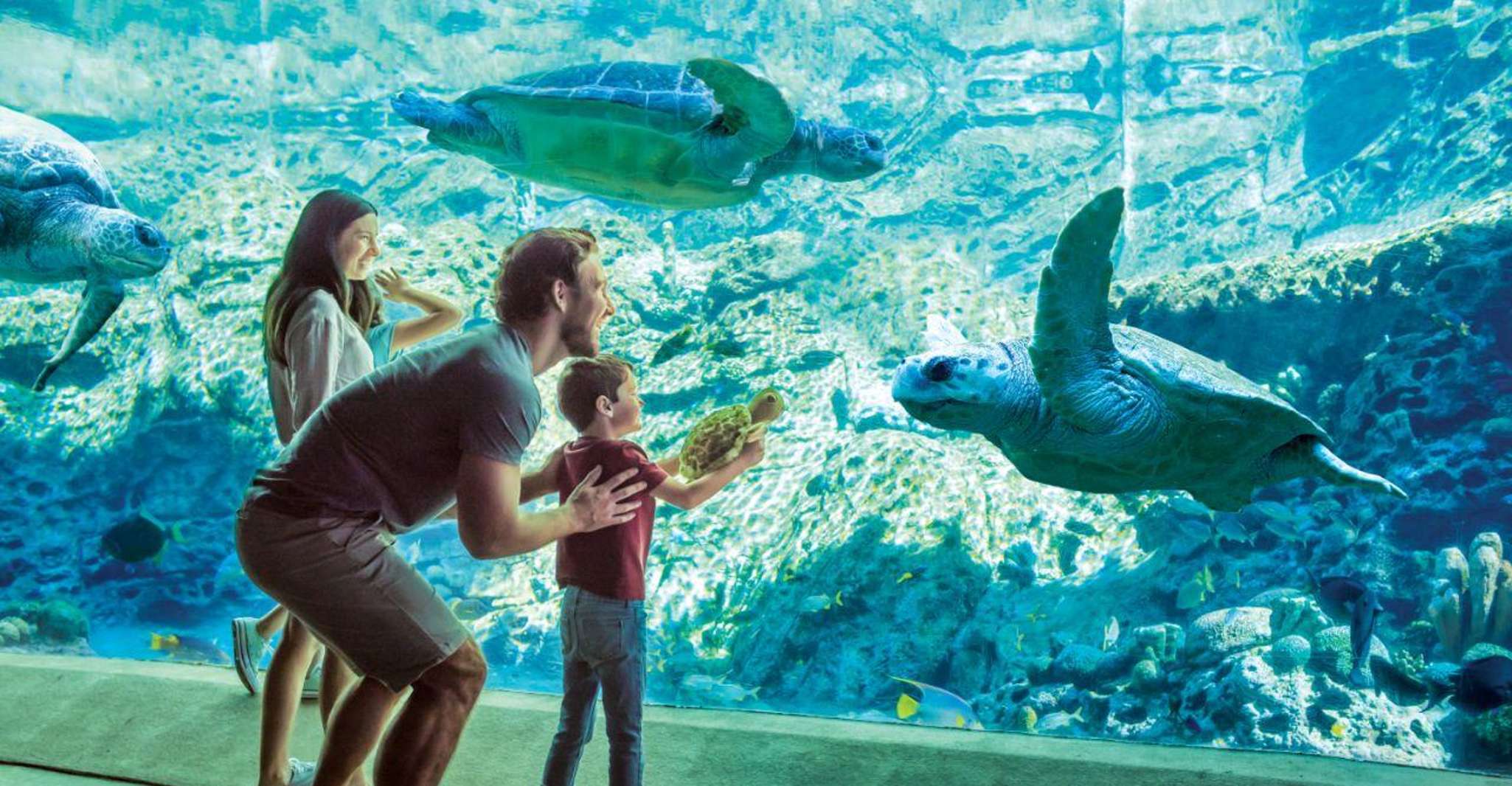 San Antonio: SeaWorld Skip-the-Line Park Admission Ticket photo 6