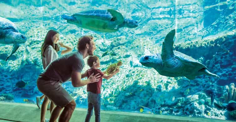 San Antonio: SeaWorld Skip-the-Line Park Admission Ticket photo 6