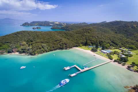 From Paihia or Russell: Hole in the Rock Dolphin Cruise