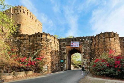 Transfer van Udaipur naar Pushkar via Chittorgarh Fort