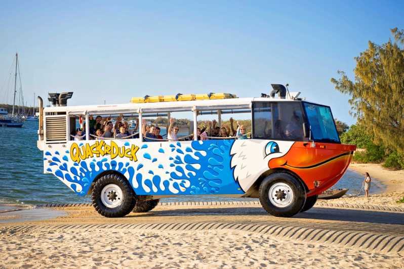 tour bus in gold coast
